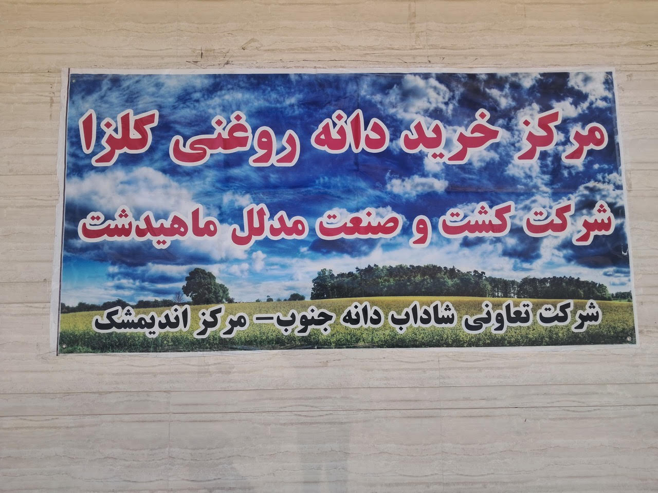 کل مطالبات کلزاکاران ایلام و خوزستان تسویه شد.